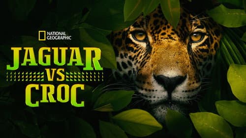 Jaguar vs. Croc still