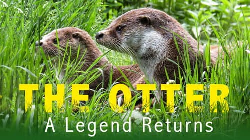 The Otter: A Legend Returns still
