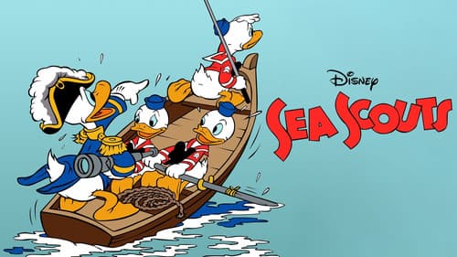 Sea Scouts still