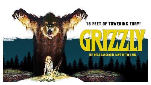 Grizzly still