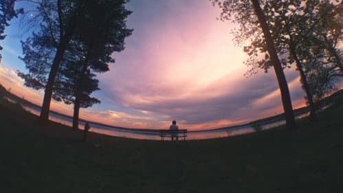 Our Ode to Joy still