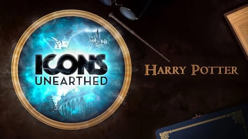 Icons Unearthed: Harry Potter still