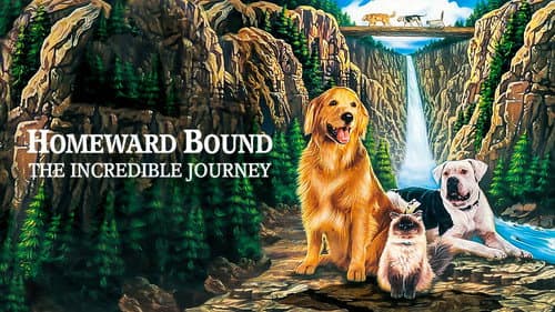 Homeward Bound: The Incredible Journey still