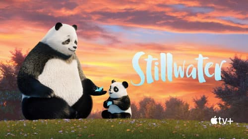 Stillwater still