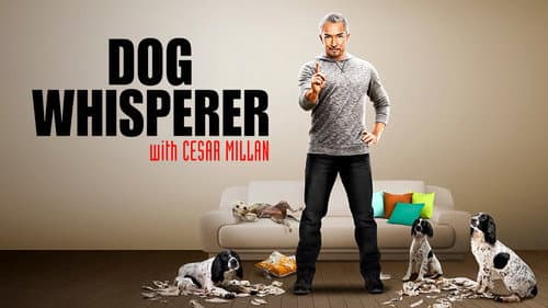 Dog Whisperer still