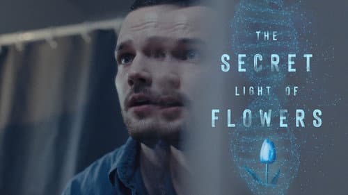 The Secret Light of Flowers still
