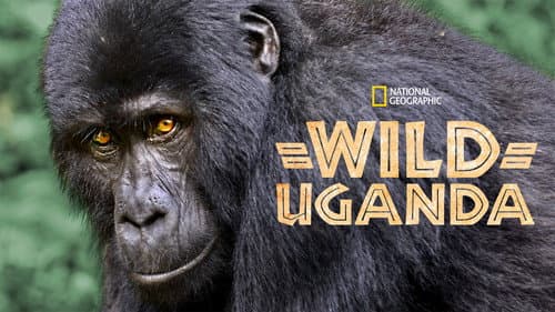 Wild Uganda still