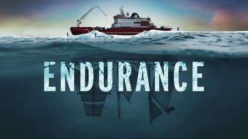 Endurance still
