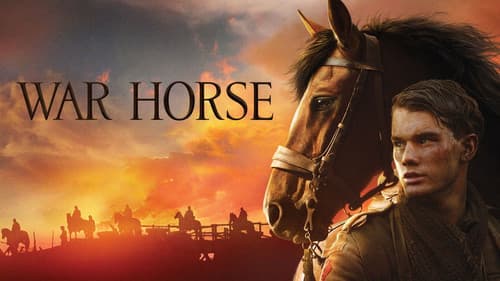 War Horse still
