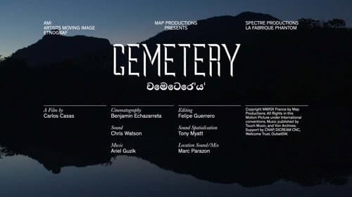 Cemetery still