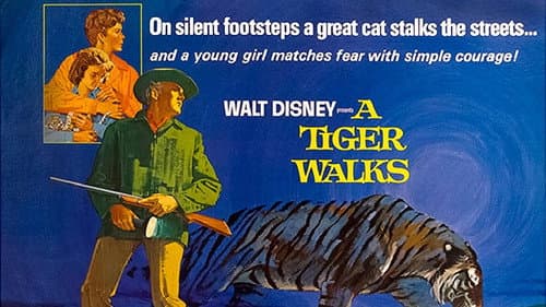 A Tiger Walks still