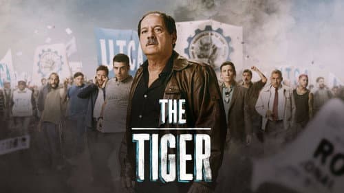 The Tiger still