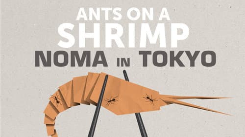 Ants on a Shrimp still
