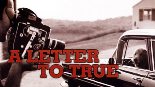 A Letter to True still