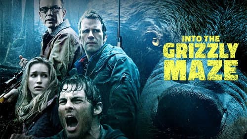 Into the Grizzly Maze still
