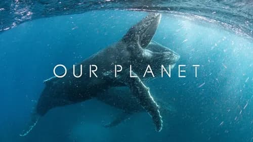 Our Planet still