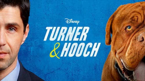 Turner & Hooch still