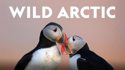 Wild Arctic still