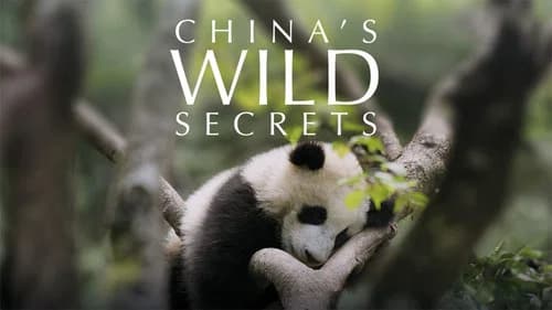 China's Wild Secrets still