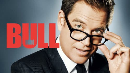 Bull still