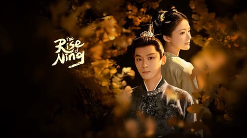 The Rise of Ning still