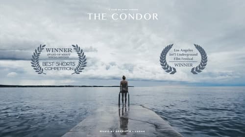 The Condor still