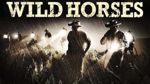 Wild Horses still
