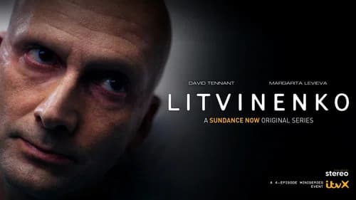 Litvinenko still