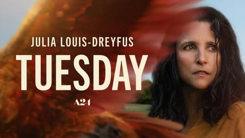 Tuesday still