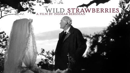 Wild Strawberries still