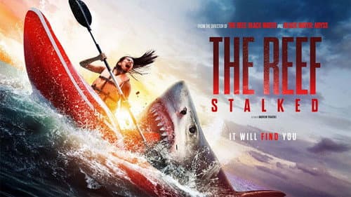 The Reef: Stalked still
