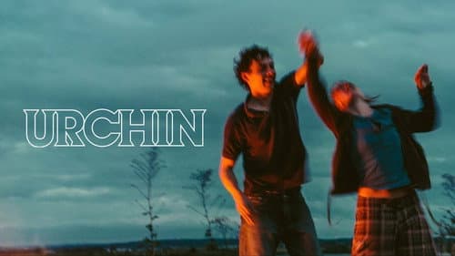 Urchin still