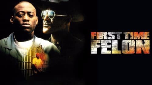 First Time Felon still