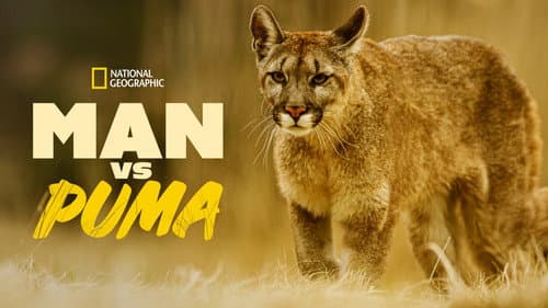 Man Vs. Puma still