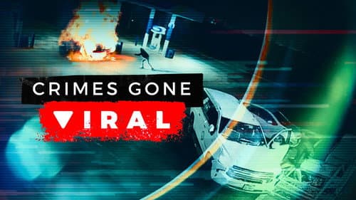 Crimes Gone Viral still