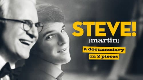STEVE! (martin) a documentary in 2 pieces still