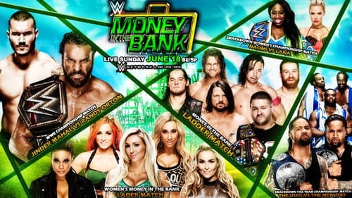 WWE Money in the Bank 2017 still
