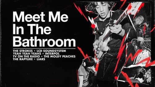 Meet Me in the Bathroom still
