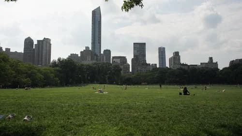 The Voices of New York still