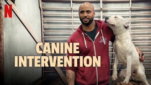 Canine Intervention still