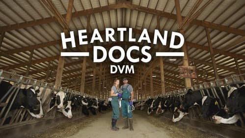 Heartland Docs, DVM still