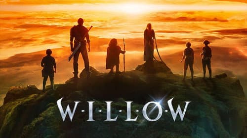 Willow still