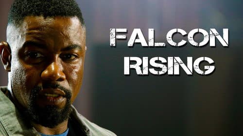 Falcon Rising still
