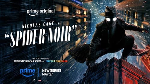 Spider-Noir still