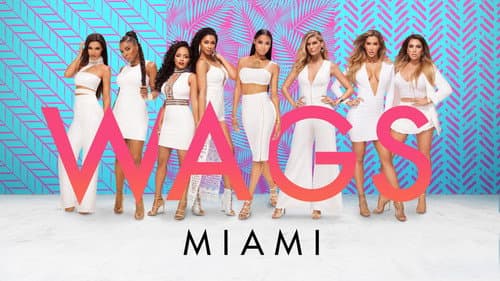 WAGS Miami still