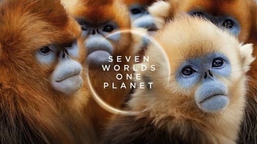 Seven Worlds, One Planet still