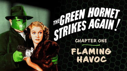 The Green Hornet Strikes Again! still