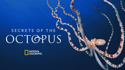 Secrets of the Octopus still
