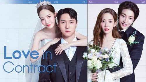 Love in Contract still