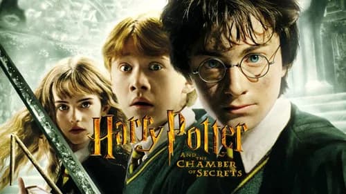 Harry Potter and the Chamber of Secrets still